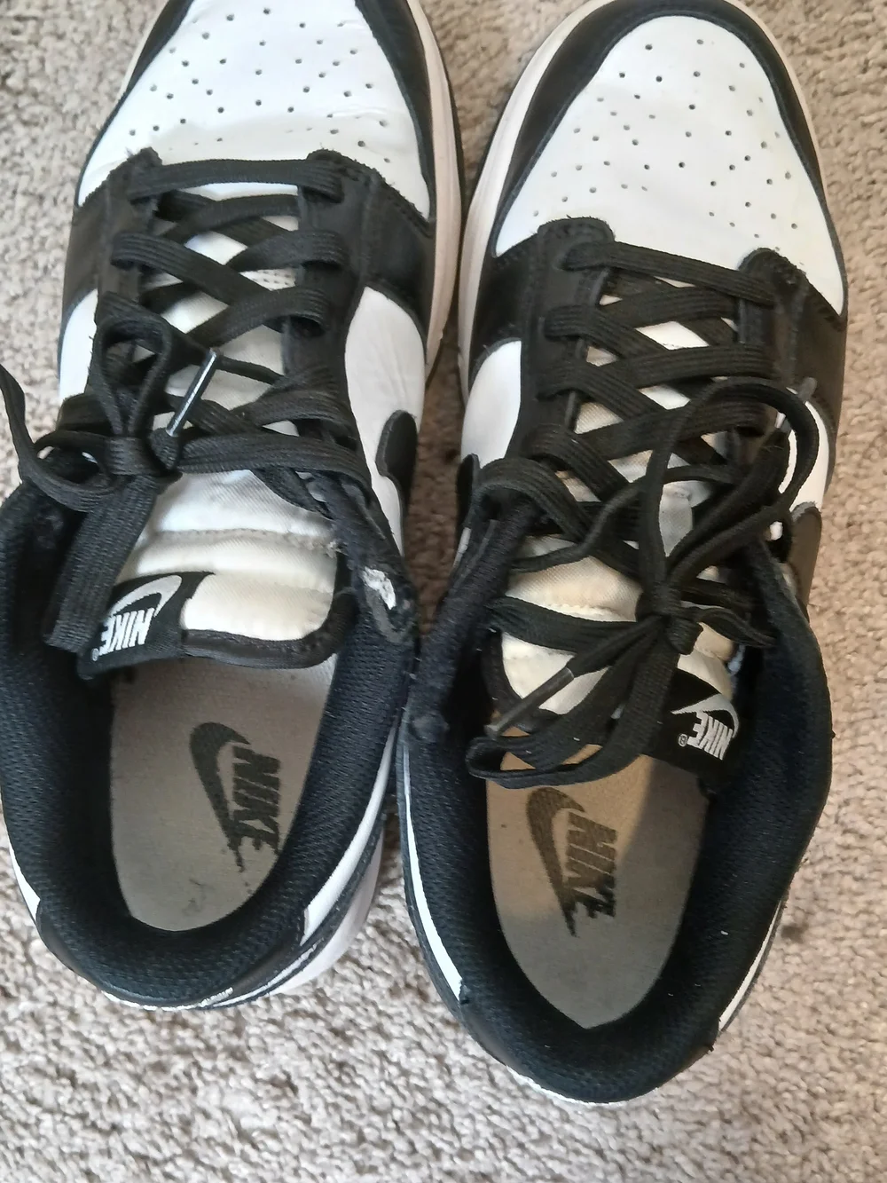 Nike Women’s Dunk Low 